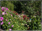 foto Giardini Trauttmansdorff - Paesaggi dell'Alto Adige